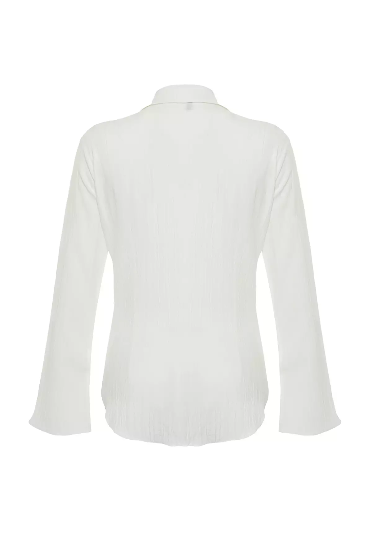 Fitted Long Sleeves Shirt