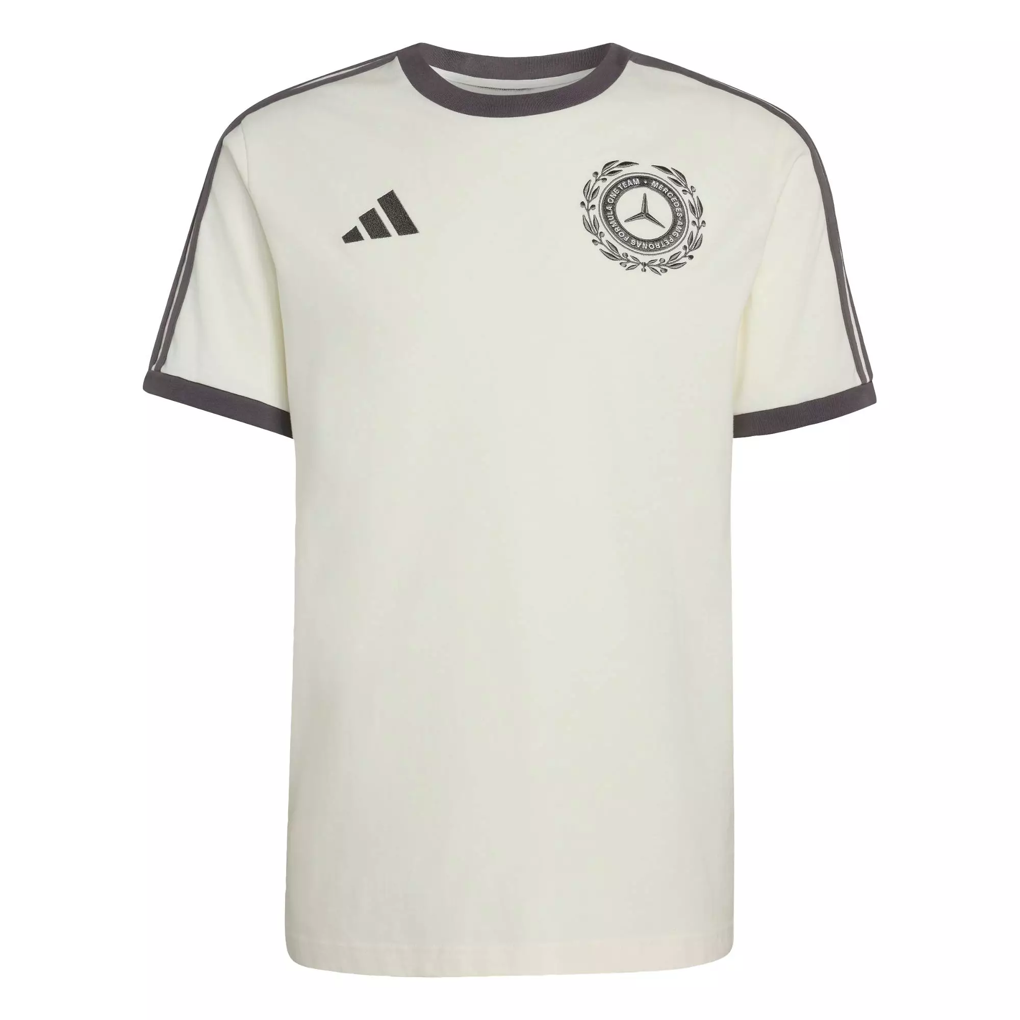 Motorsport MERCEDES - AMG PETRONAS FORMULA 1 TEAM SILVER ARROWS ICON TEE MEN Men White KE8275