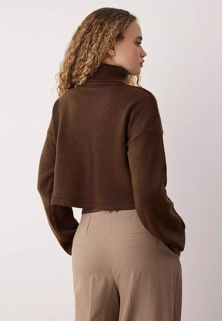 Brown Wardrobe Essentials Wide Pattern Soft Texture Crop/Short Knit Sweater
