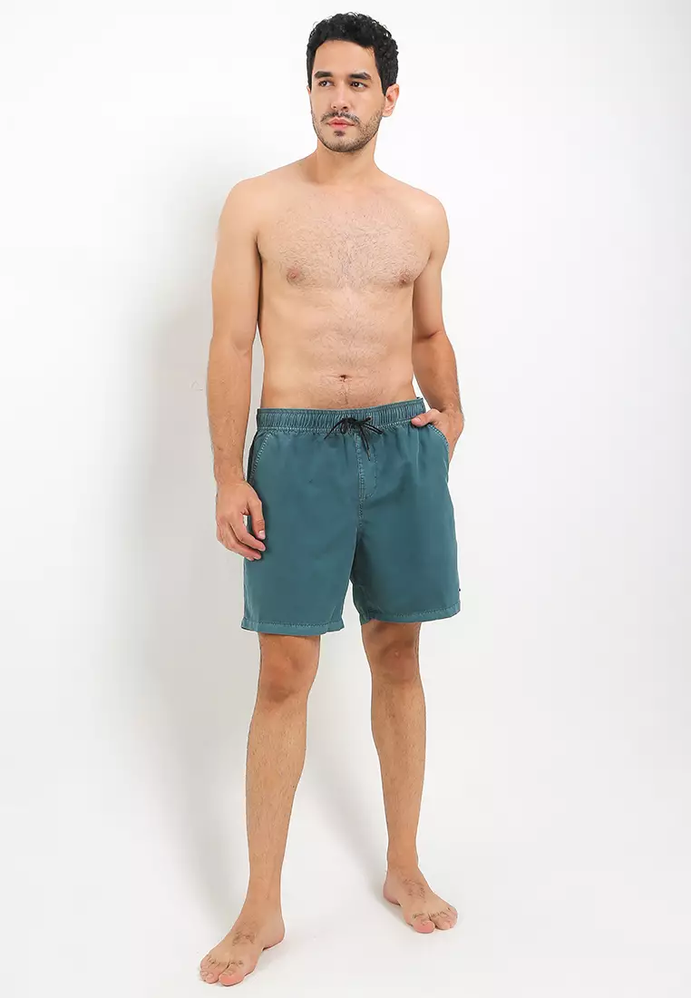 All Day Ovd Layback Boardshorts