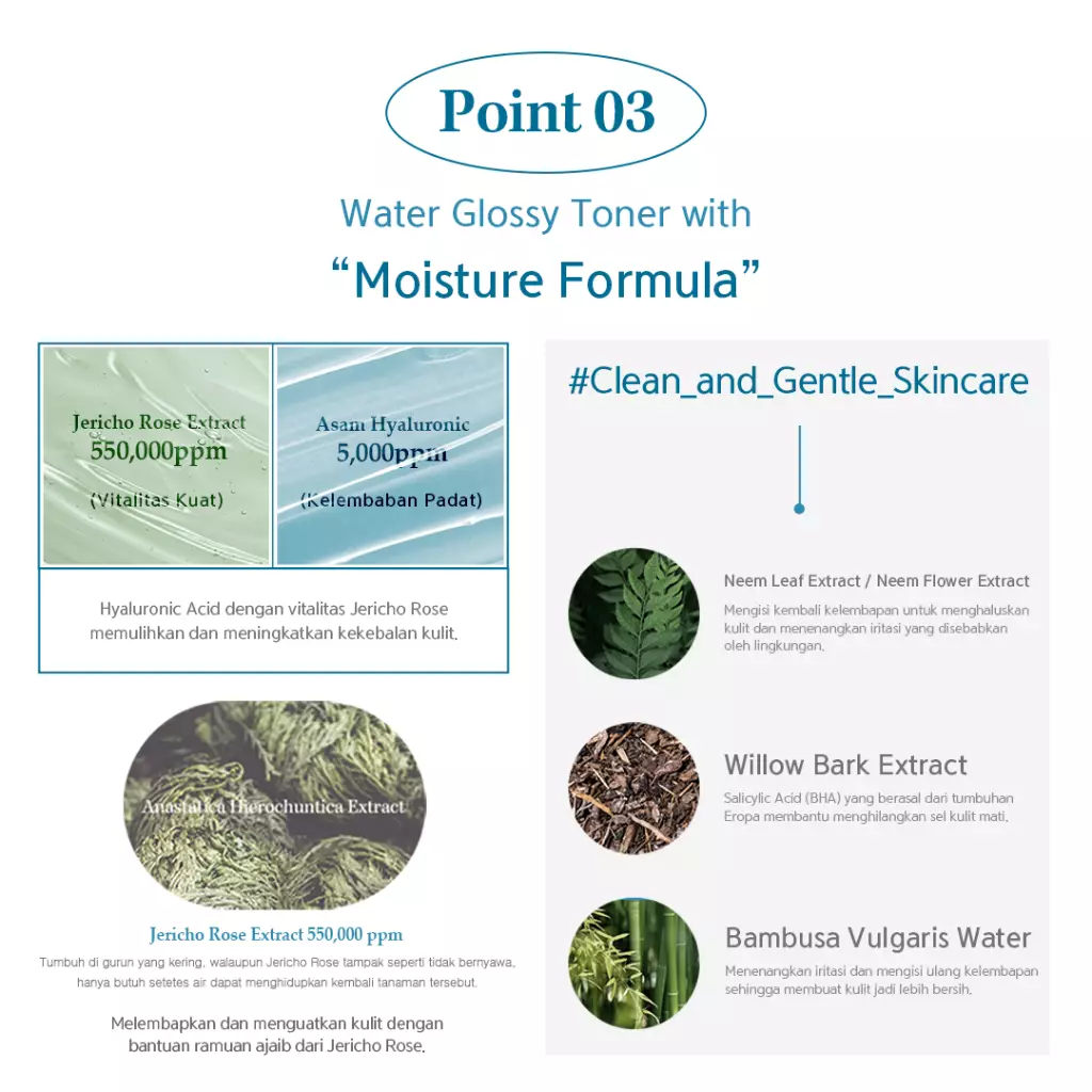 NACIFIC Hyal Booster Toner 150ml