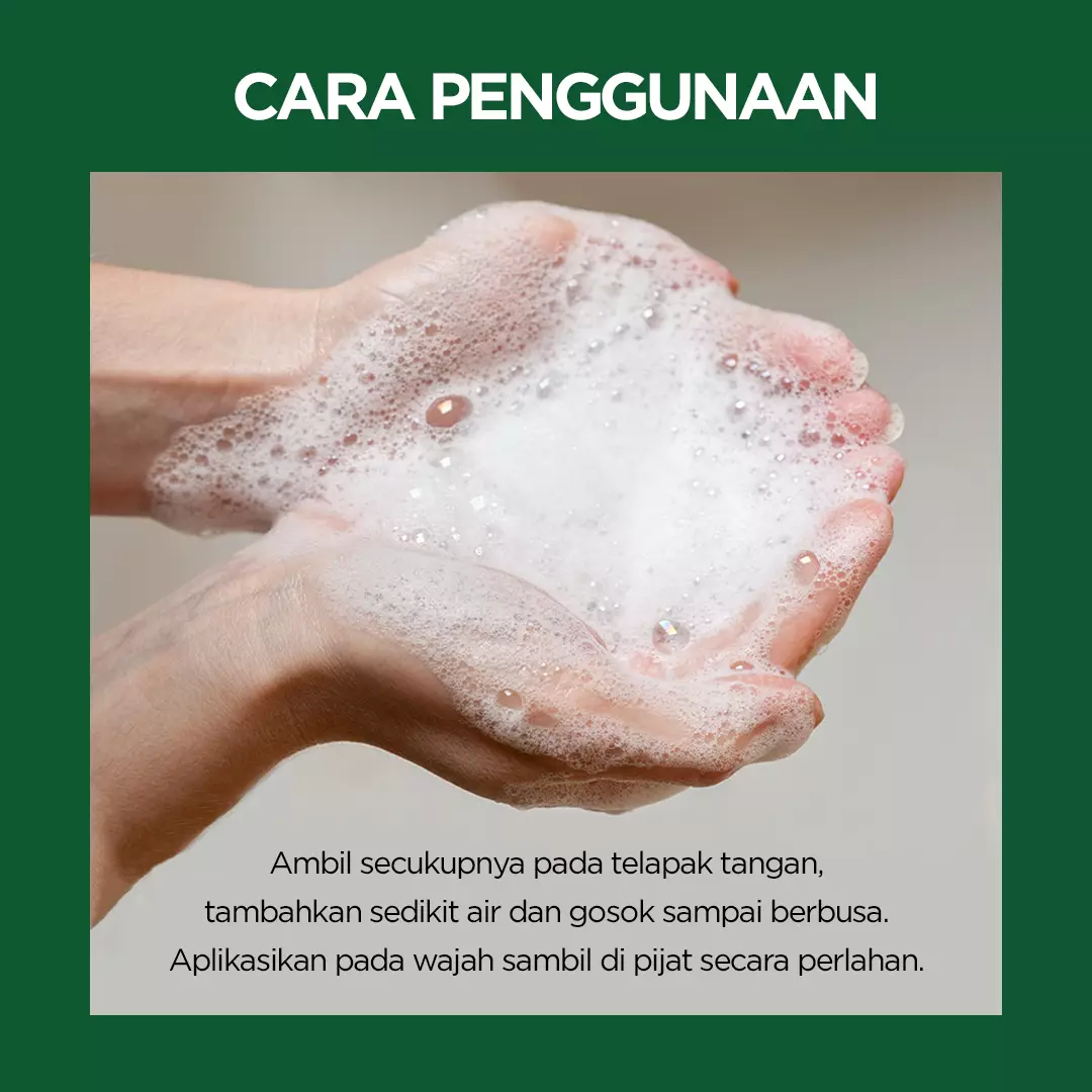 Holika Holika Acnenator Clearing Cleansing Foam | Sabun Cuci Muka Jerawat