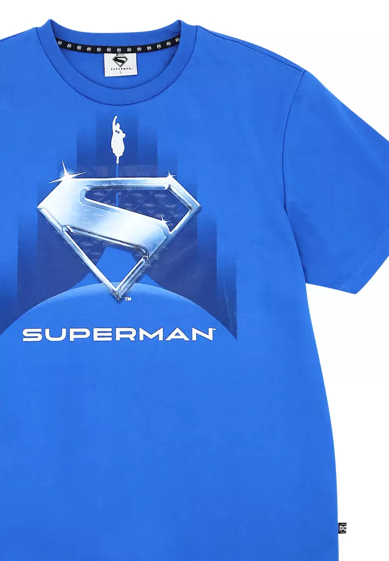 Licensed Mens Graphic T-Shirt Shield Logo