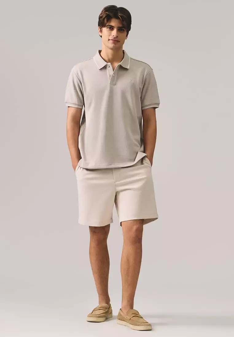 Premium Regular Fit Polo Shirt With Contrast Tipping
