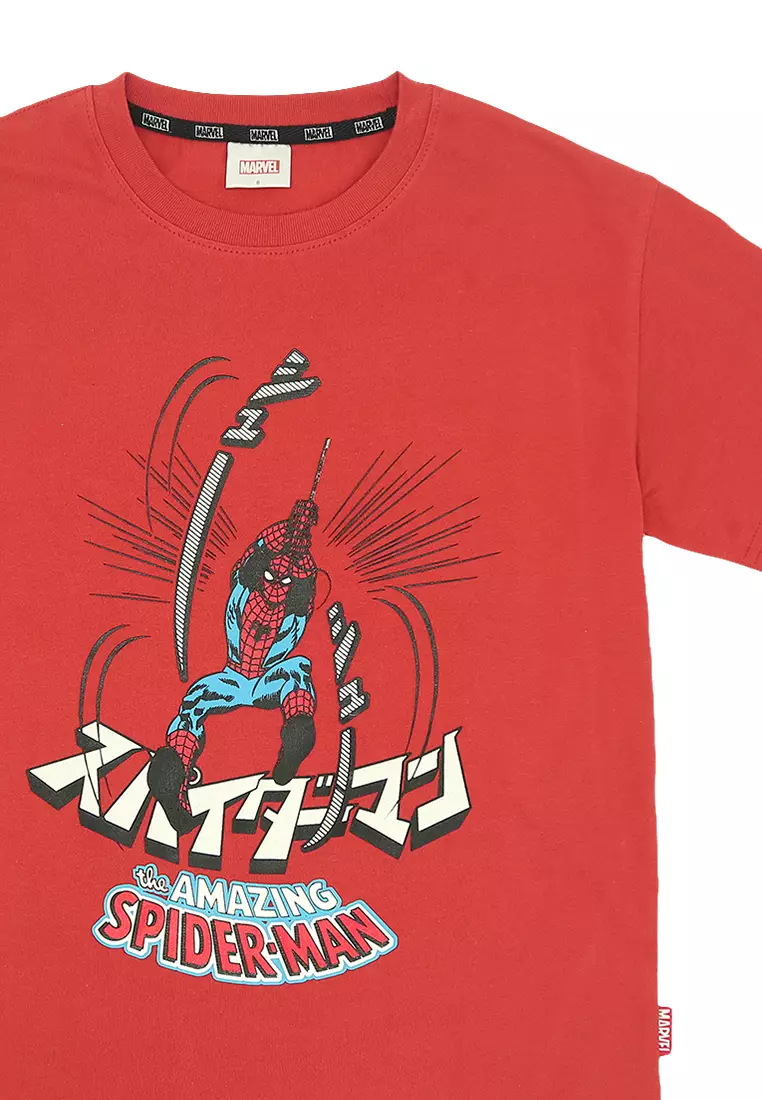 Boys Licensed Oversize Graphic T-Shirt Amazing Swing