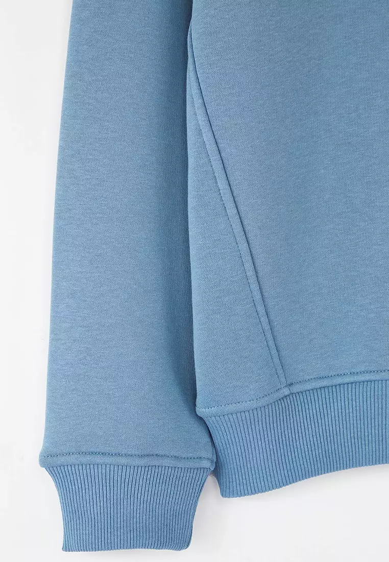 Blue Regular/Normal Cut Stand Collar Zippered Cotton Horse Embroidery Inside Fleece Sweatshirt Tmnaw24Sw00041