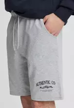 Light gray melange