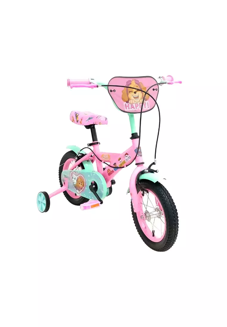 12 paw patrol skye bike hotsell