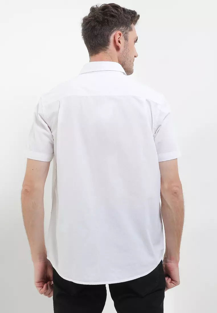 Cotton Oxford Shirt KLS611