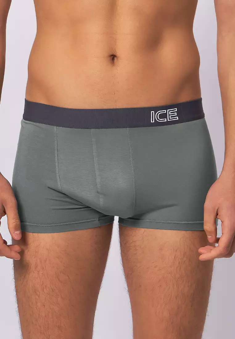  Ice Men Viscose With Spandex Boxer Briefs Dusty03 - Sedona Sage (Single Pack)