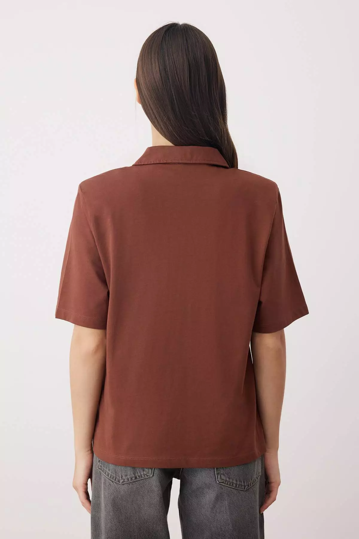 Brown Thick Cotton Padded Polo Collar Regular/Normal Pattern Knitted T-Shirt