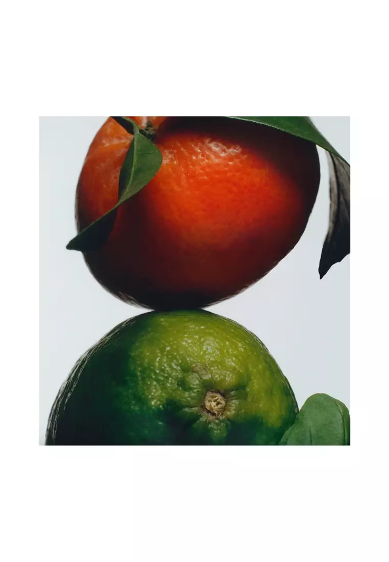 Lime Basil & Mandarin Cologne 9ml