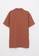 LC WAIKIKI brown Regular Fit Short Sleeve Poplin Men's Shirt 9DD72AA69D866DGS_7