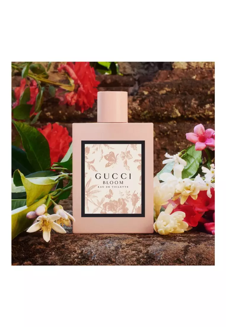 Gucci bloom eau de toilette 50 ml best sale