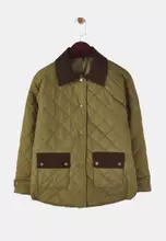Dark Khaki