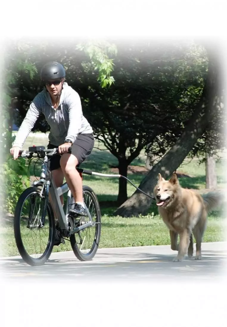 Buy Pet Ego Cycleash Universal Dog Bike Leash 2023 Online ZALORA