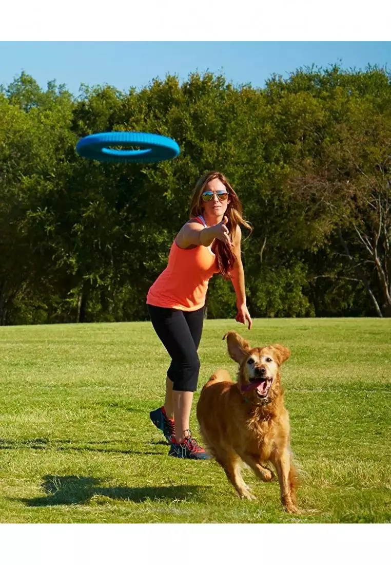 Buy Petmate Chuckit! Rugged Flyer Small Dog Toy Blue 2025 Online ...