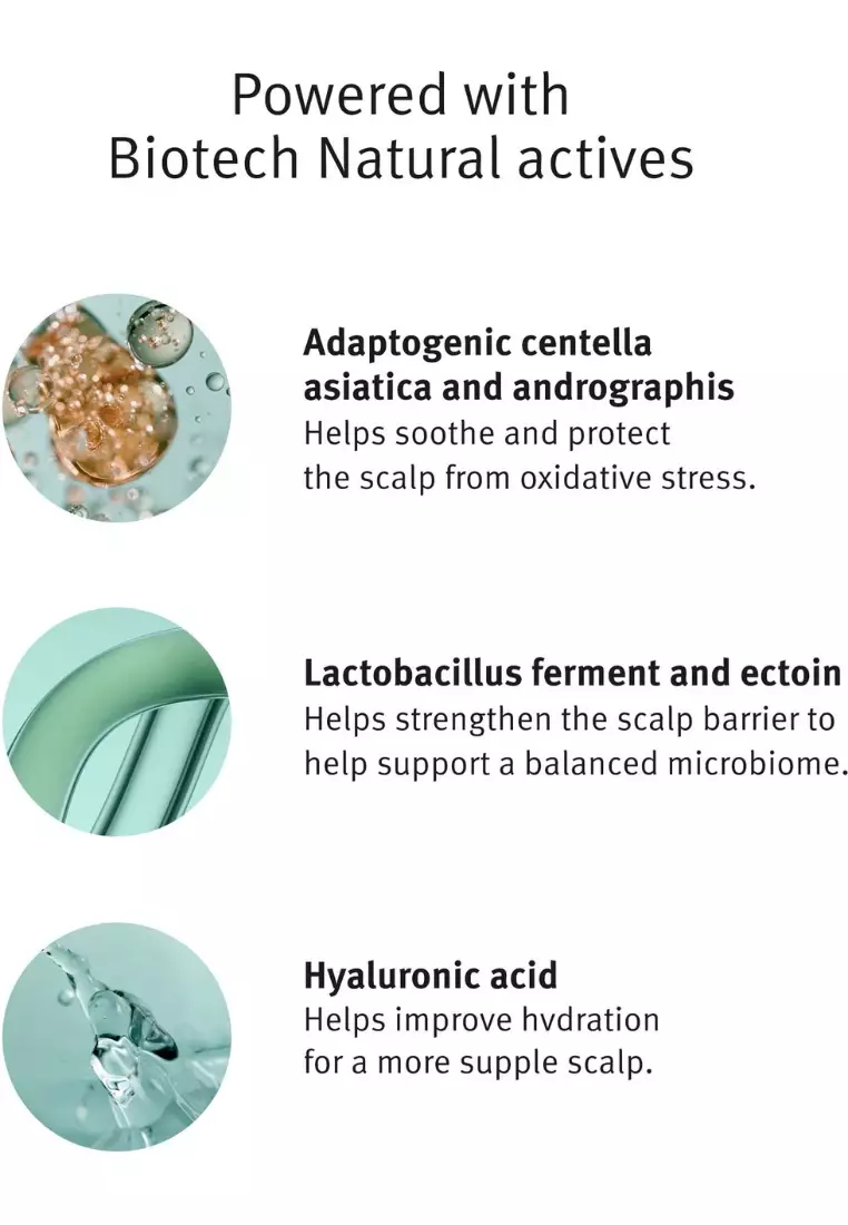 Scalp Solutions Overnight Scalp Renewal Serum 50ml