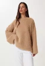 Biscuit
