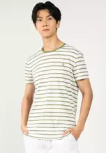 Green Stripe
