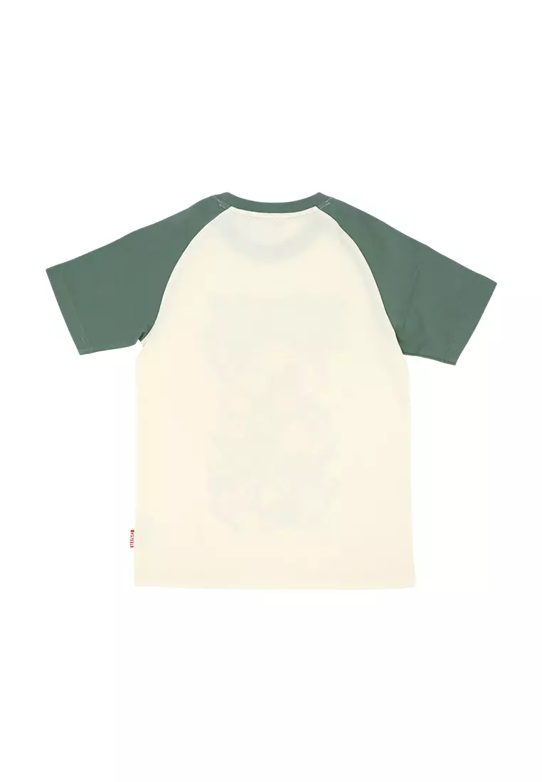 Boys Licensed Graphic Raglan T-Shirt "The Hulk"