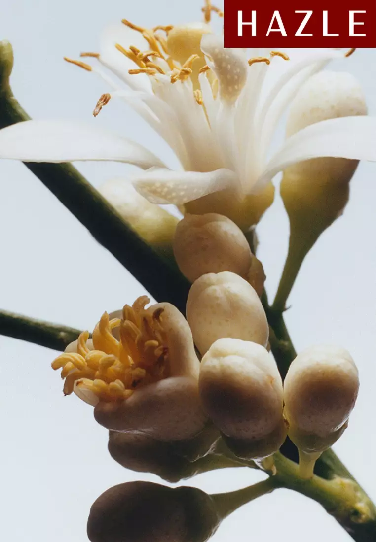 Orange Blossom Unisex Cologne 100 ml