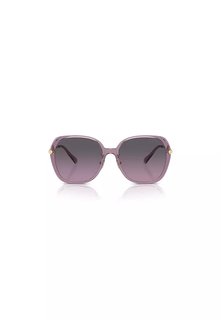Women's Square Frame Violet Injected Sunglasses - HC8403D