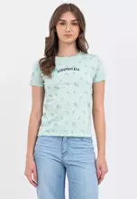 HINT OF MINT