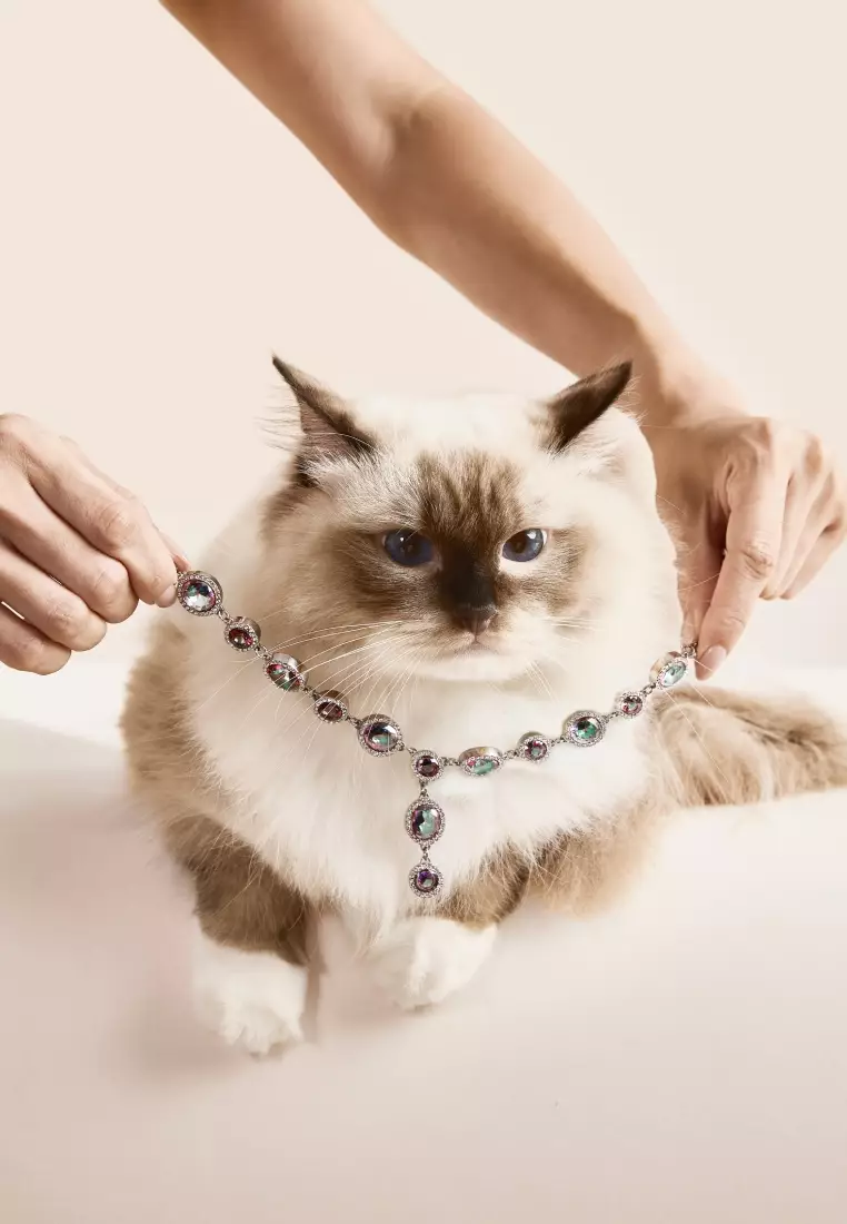 PET IT ON Rivière Necklace - Mystic Aurora