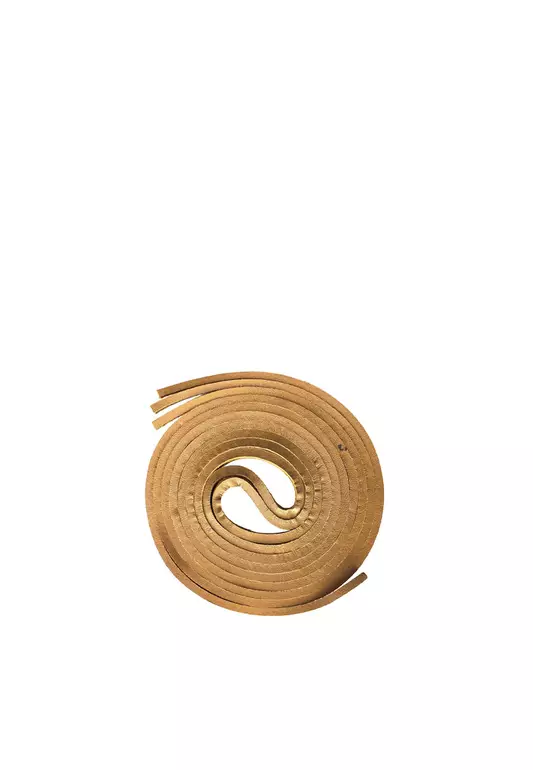 Shoelace