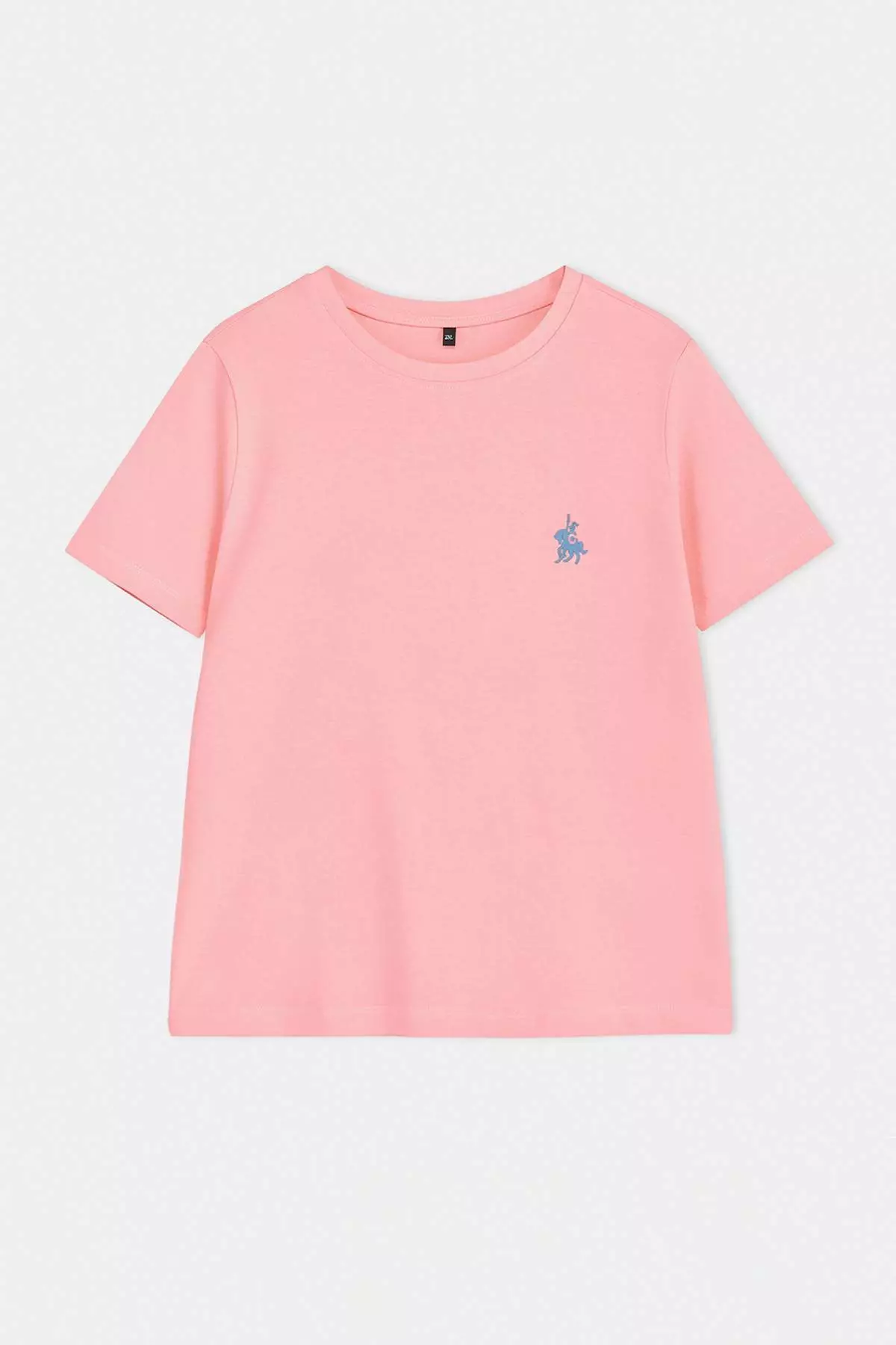 Pink Crew Neck Embroidery Detailed Regular Fit Plus Size T-Shirt Tbbss26Bf00032