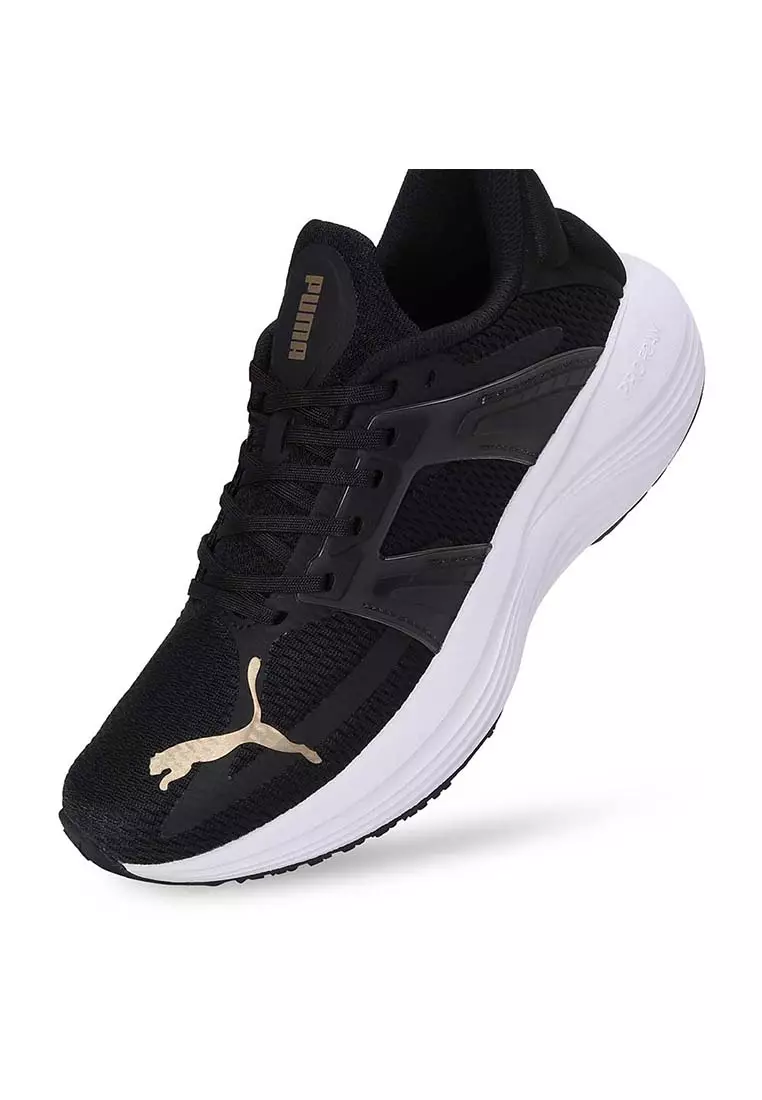 Scend Progressive Wns