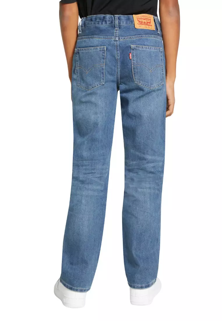 Buy Levi's Boys 505 Regular Fit Jeans (Big Kids) 2026 Online | ZALORA