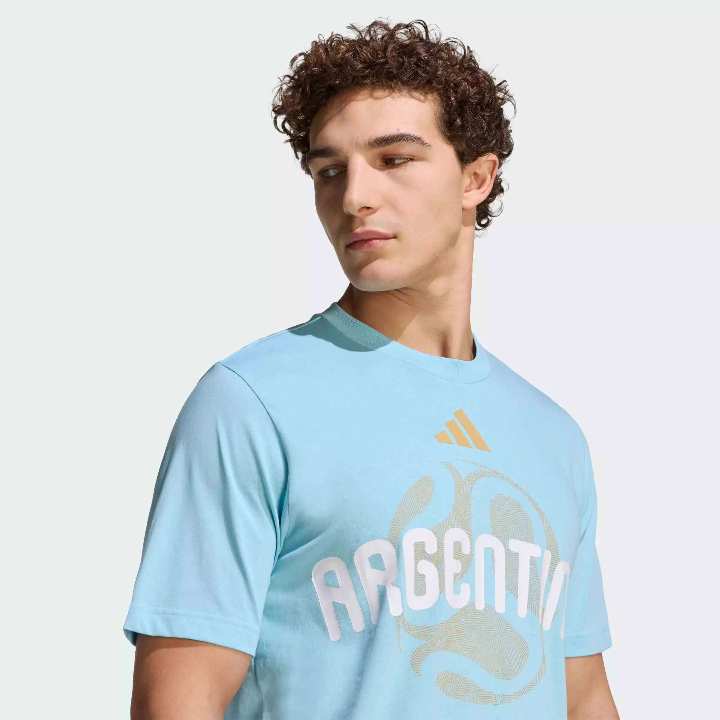 Buy ADIDAS Football FIFA World Cup 26™ Argentina T-Shirt Men Blue
