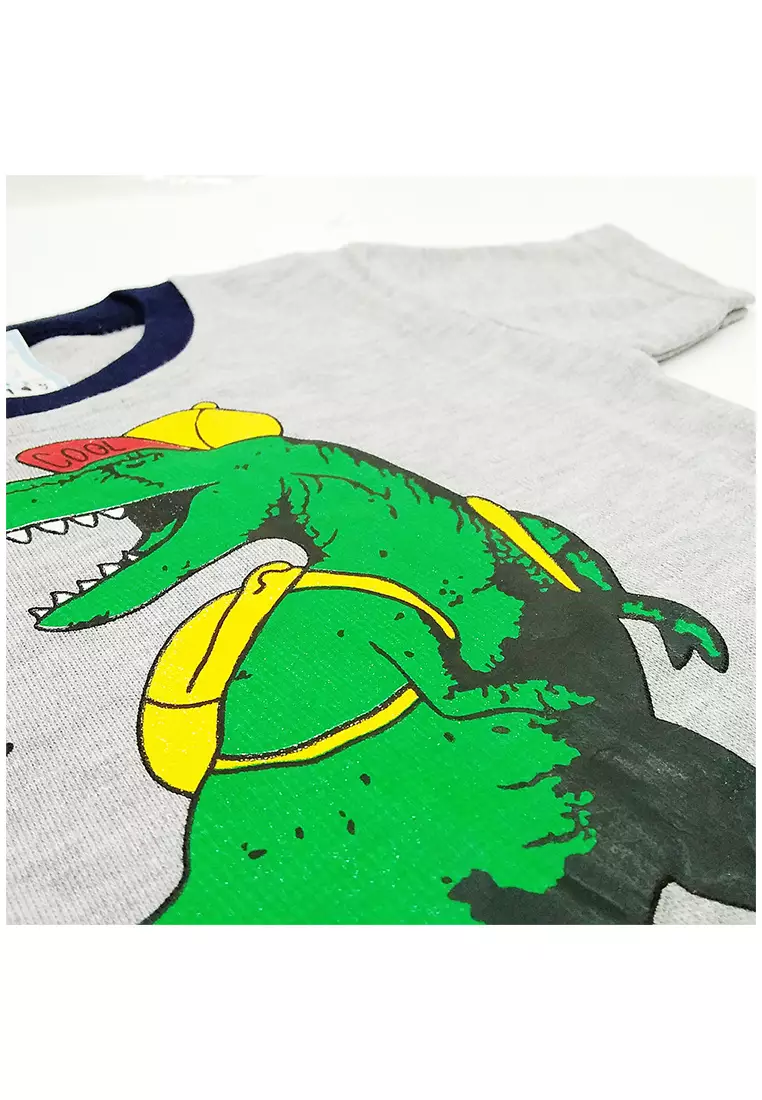 Skabe Pakaian Bayi Anak Laki Laki Baju Atasan Oblong Lengan Pendek Motif Dinosaurus Setelan Kaos Warna Tua All Size Usia 12 Bulan Hingga 18 Bulan 3149 Waka Kids Wakakids