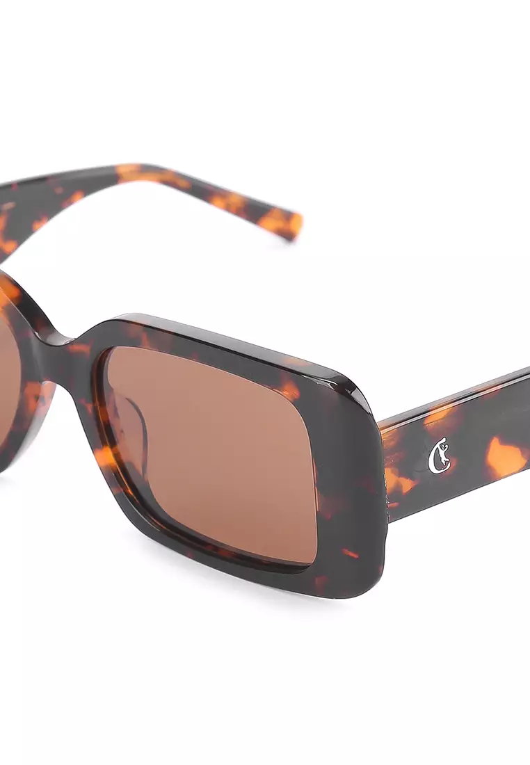Shield Sunglasses