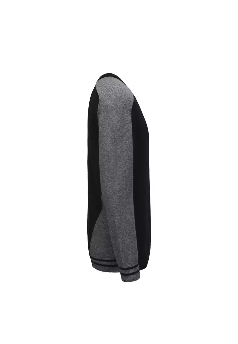 Men Crew Neck Knitted Sweater