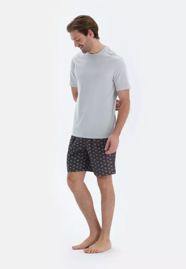 Light Grey T-Shirt, Crew Neck, Regular, Short Sleeve Sleepwear for Men