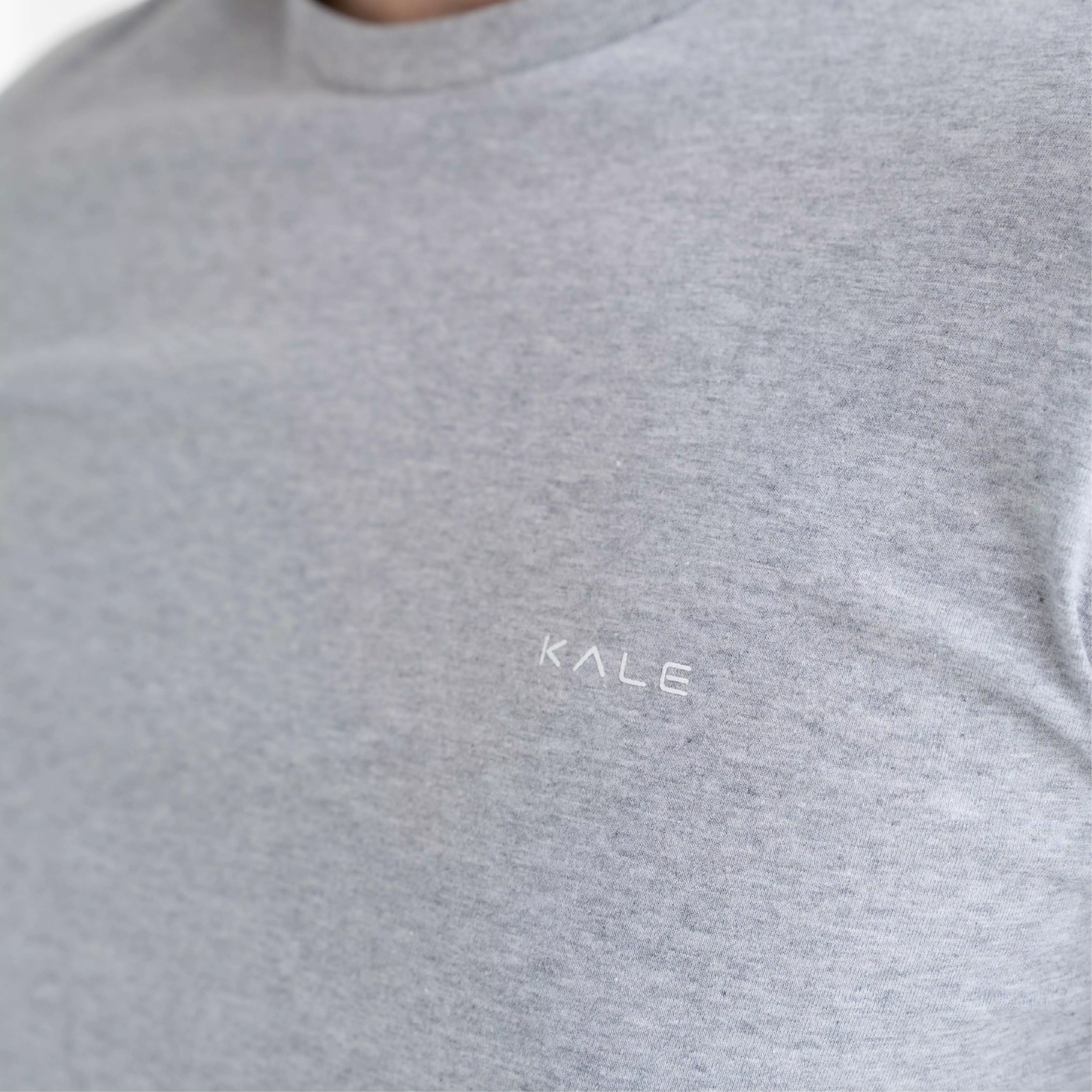 Kale Arion Misty Grey / T-Shirt Pria Lengan Pendek / Unisex