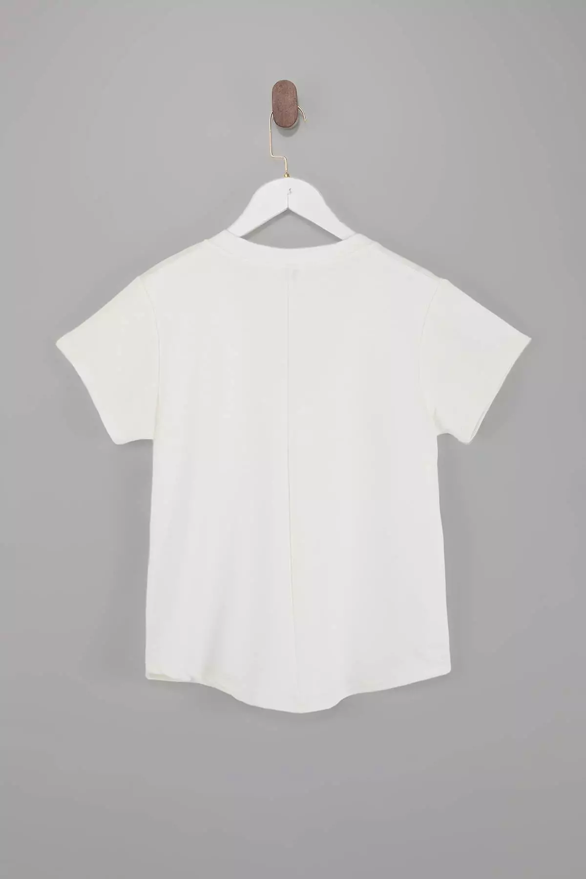 Ecru V-Neck Regular/Normal Fit Knitted T-Shirt Twoss25Ts00196