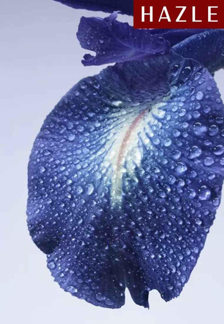 Iris Bleu Unisex EDT 100 ml