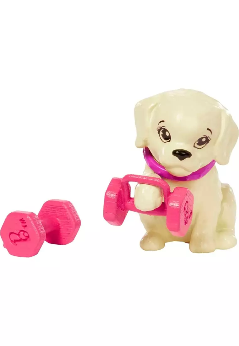 Barbie Doll Brunette Doll With Pet Puppy, Sets, Workout Theme with Accessories