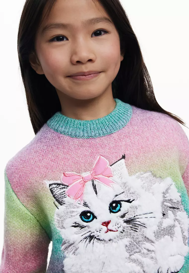 Rainbow cat sweater