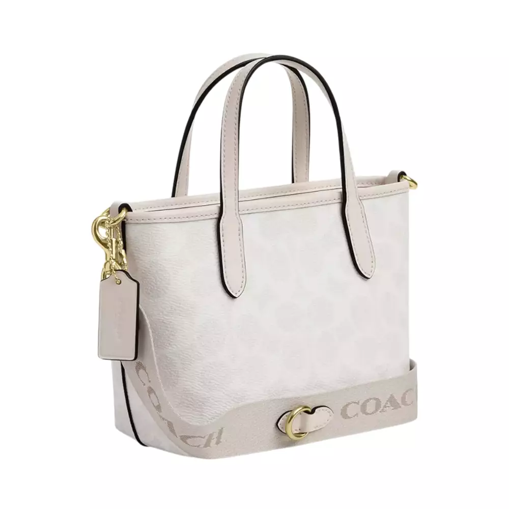 City Mini Handbag In Signature Canvas White Chalk