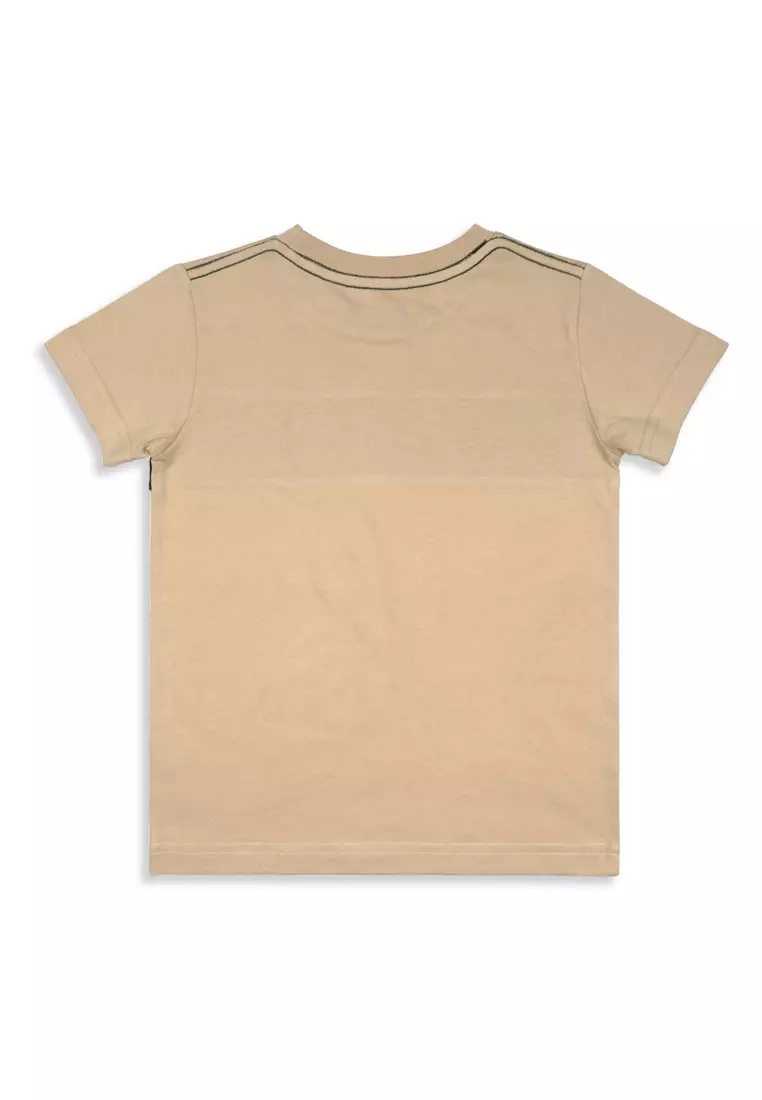 Boys T-Shirt With Print Details