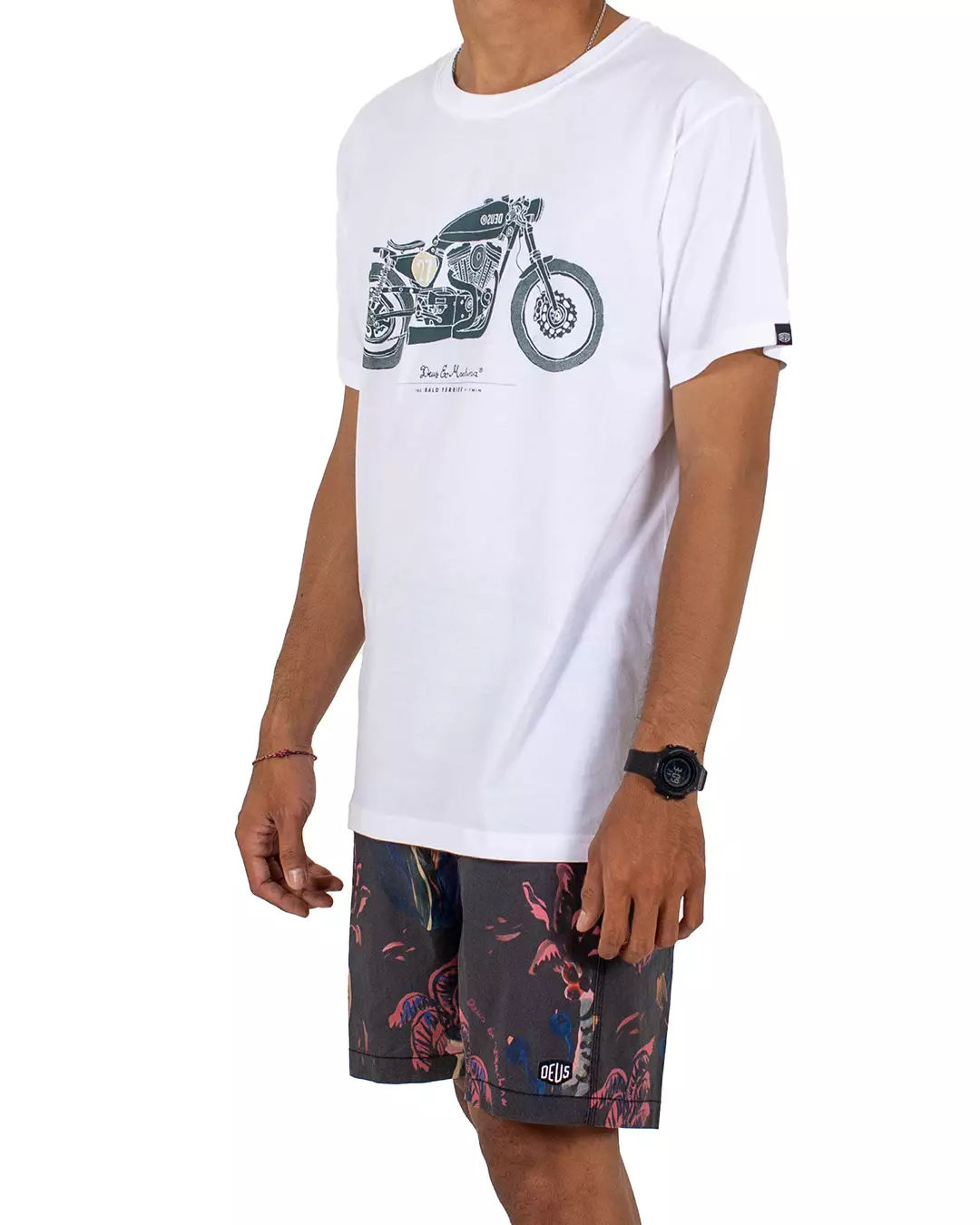 Bald Terrier V-Twin OG