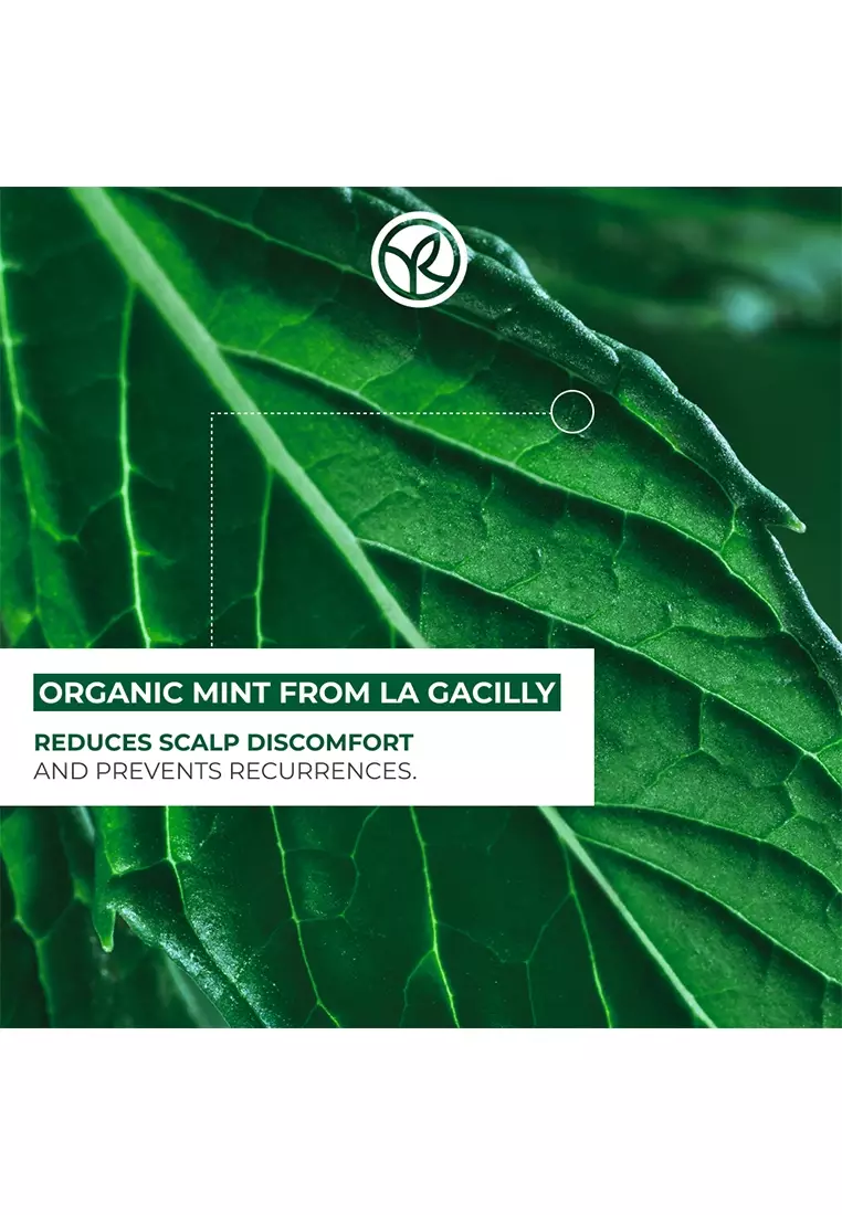 Anti Dandruff Shampoo 300ml & Purifying Conditioner 200ml Original Hair Care Bestseller Flakes Free Sulfate-Free