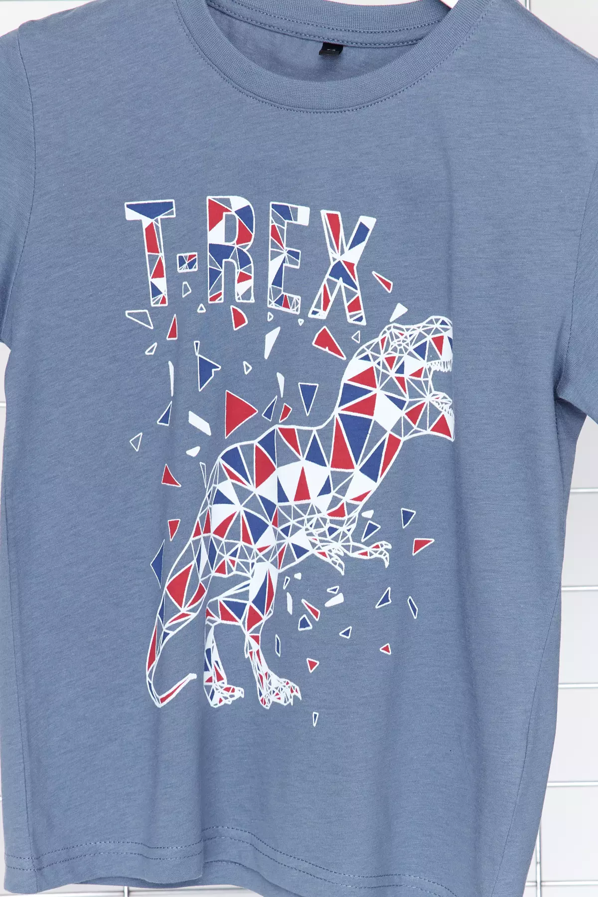 Dinosaur T-Shirt