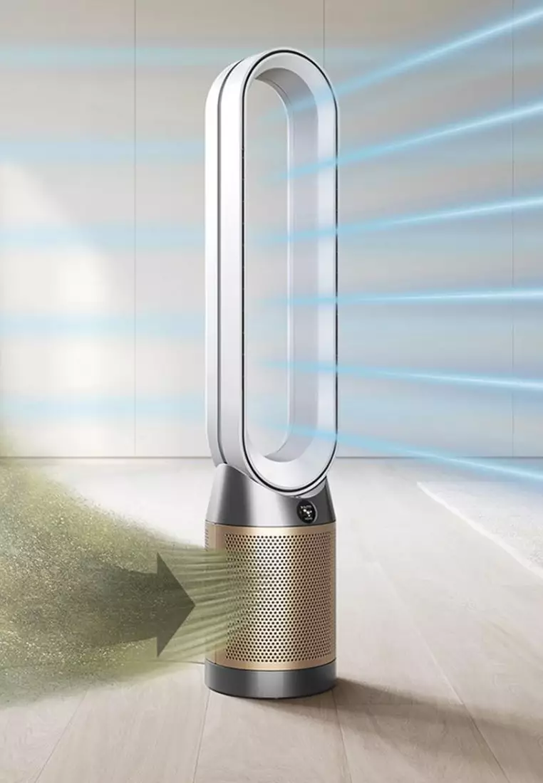 Buy Dyson Dyson Purifier Cool ™ Formaldehyde Air Purifier Fan Tp09