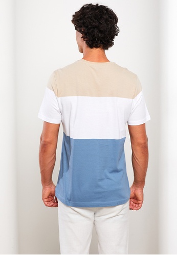 Buy LC WAIKIKI Crew Neck Short Sleeve Color Block Combed Cotton Men's  T-Shirt 2023 Online | ZALORA Singapore